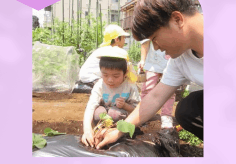 【活動】さつまいもの苗植え（４・５歳）
