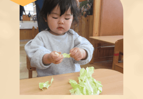 【活動】春の食育（２歳）