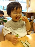 食育活動【そら豆】1歳児