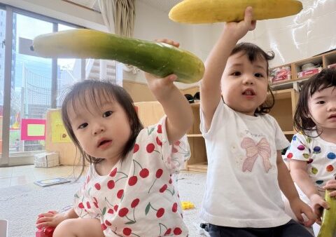 【１歳児クラス】たのしみいっぱい！きゅうりの収穫