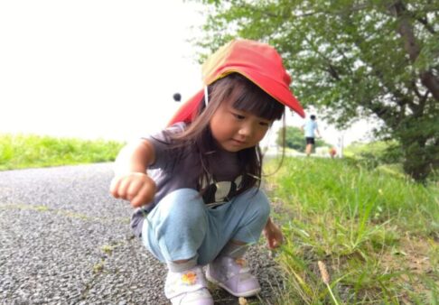 【1歳児クラス】夏のお散歩を楽しんでいます！