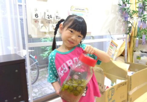 ５歳児 くじら組【食育～梅ジュースづくり～】