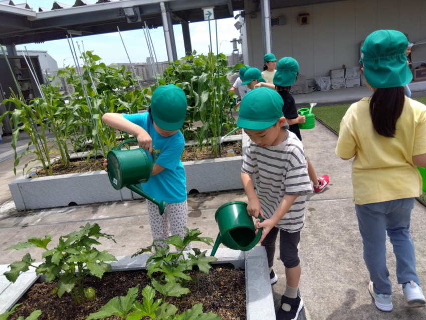 園庭がある