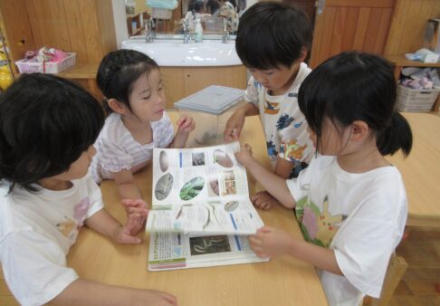 ☆５歳児　探究活動①☆