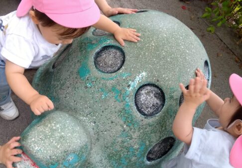 ひよこ組(０歳児クラス)☆5月の様子