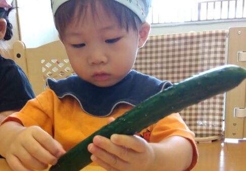 【１歳児】食育