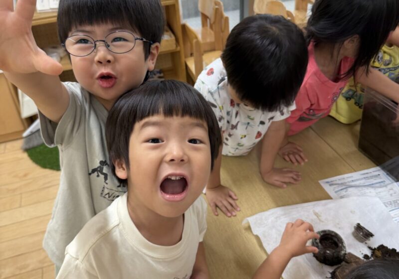 毎日観察を楽しんでいます