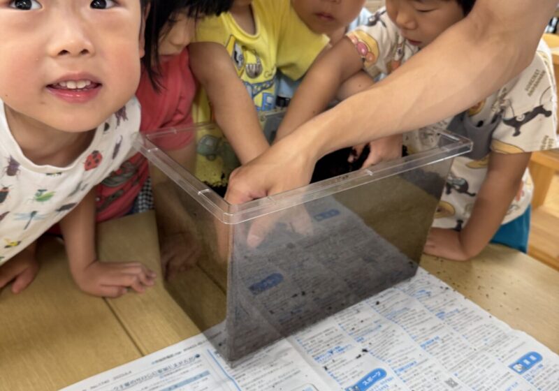 夢中になって観察しています