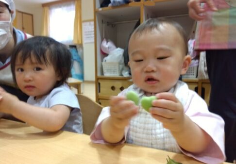 １歳児 りす組「そら豆の皮むき」