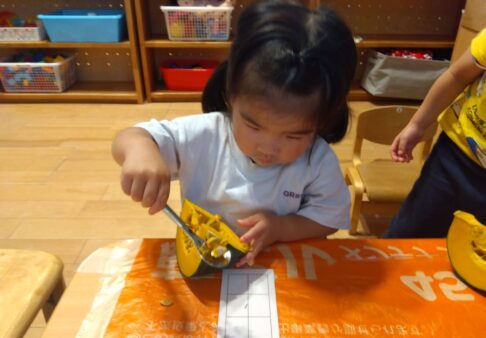 ２歳児「かぼちゃの種取り」