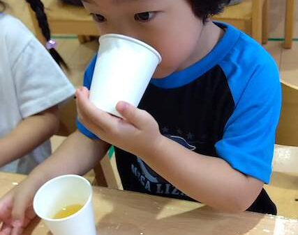 3歳児　うさぎ組　「だしってなあに？」